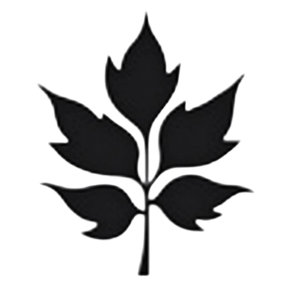 Black Leaf Silhouette